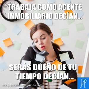 Bienes Raíces. Entorno Inmobiliario.