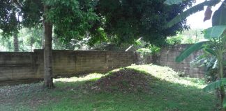 Parcela, Terrenos para construcción