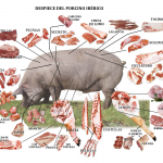 Despiece del cerdo