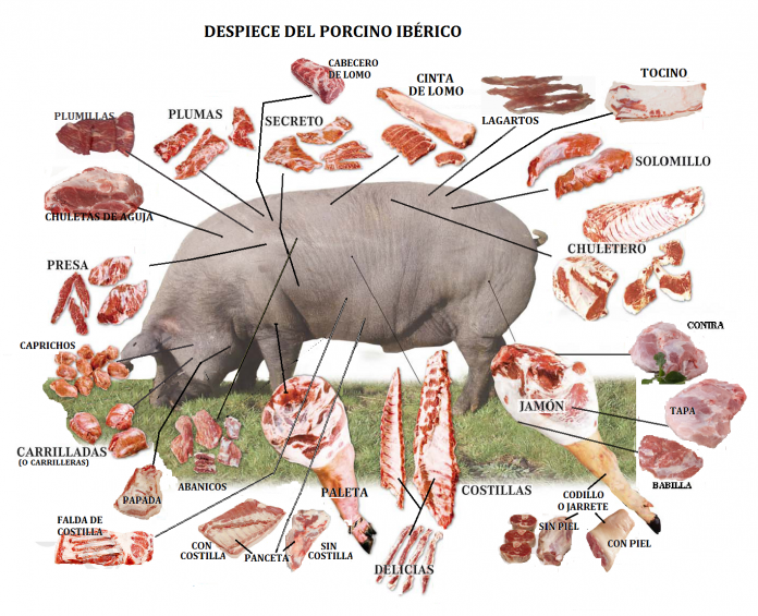 Despiece del cerdo