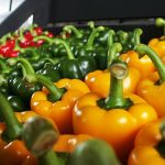 paprika-2271449_640 (1)