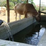 7de4da2bf336a85f3b57757ea9aa6285c26f4883