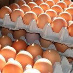 fresh-eggs-2581036_960_720